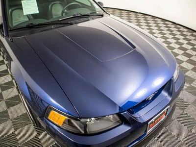 2001 Ford Mustang Cobra