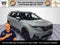 2024 Kia Carnival SX
